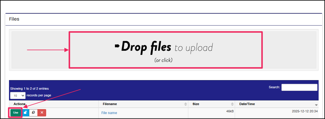 File Upload table highlighting Drop area and Use button